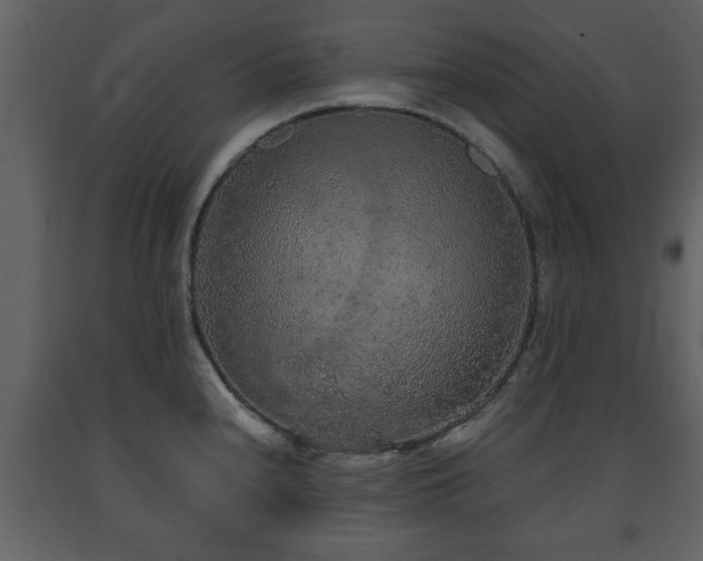 X0000091681240200708231409