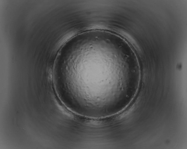 X0000091681241200708231409