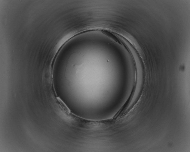 X0000091681242200708231409