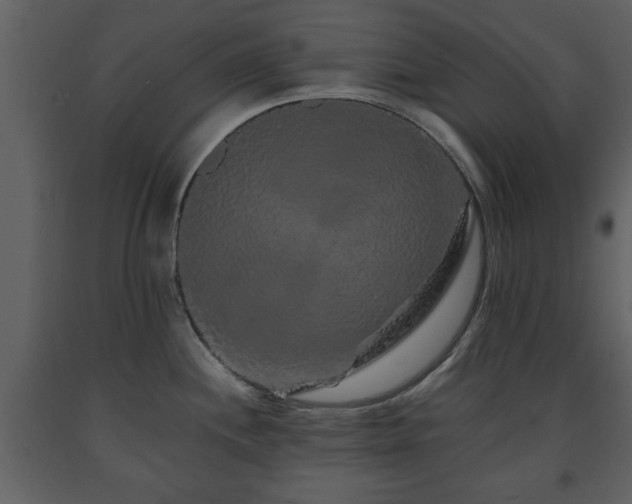 X0000091681244200708231409