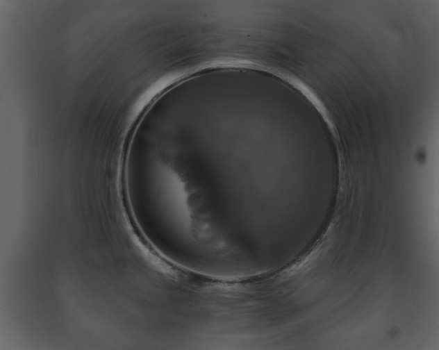 X0000091681245200708231409
