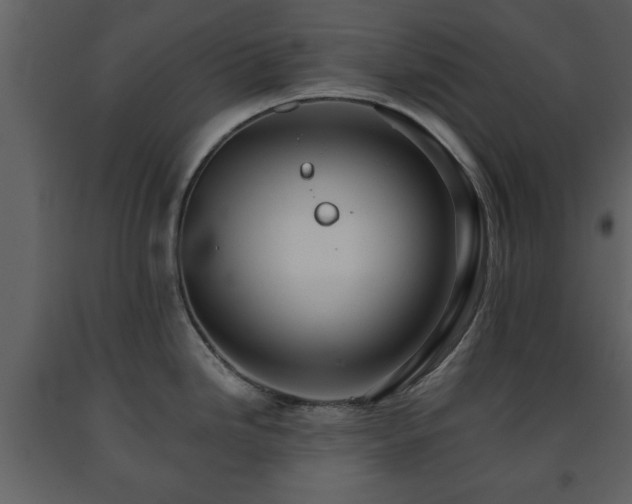 X0000091681246200708231409