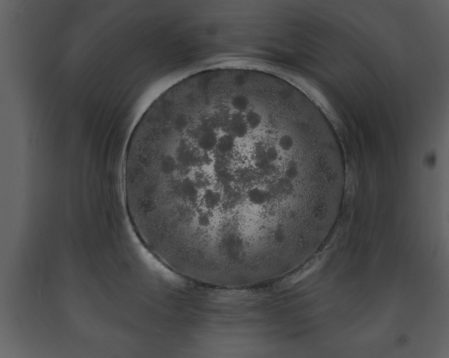 X0000091681247200708231409
