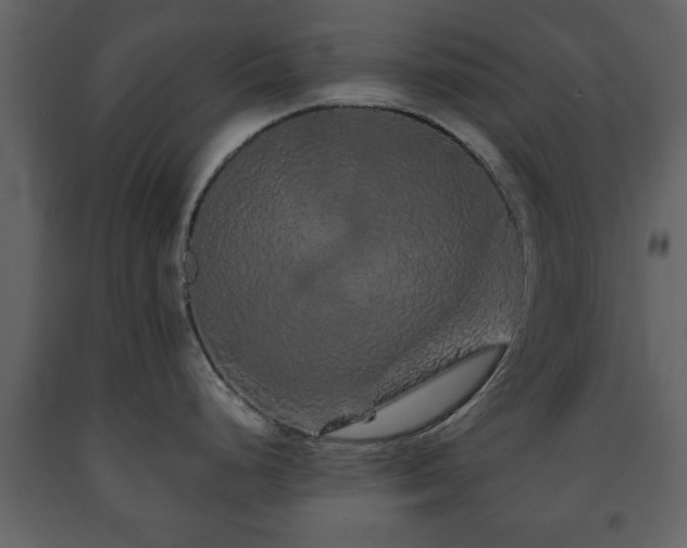 X0000091681248200708231409