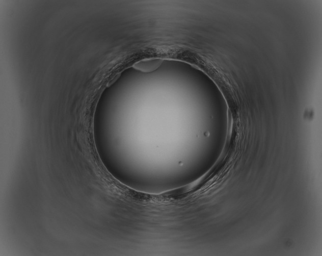 X0000091681249200708231409