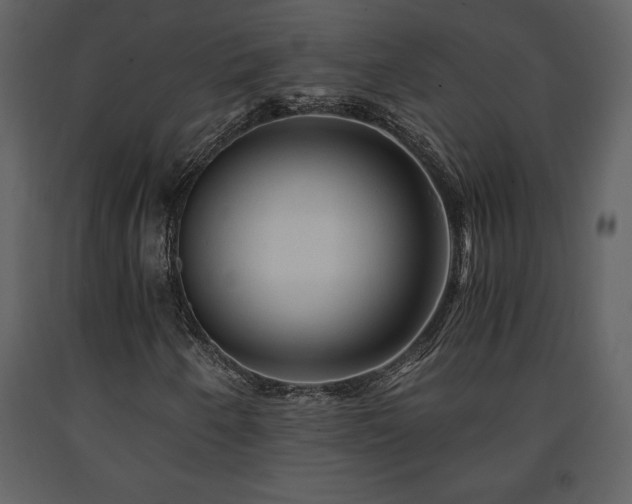 X0000091681250200708231409