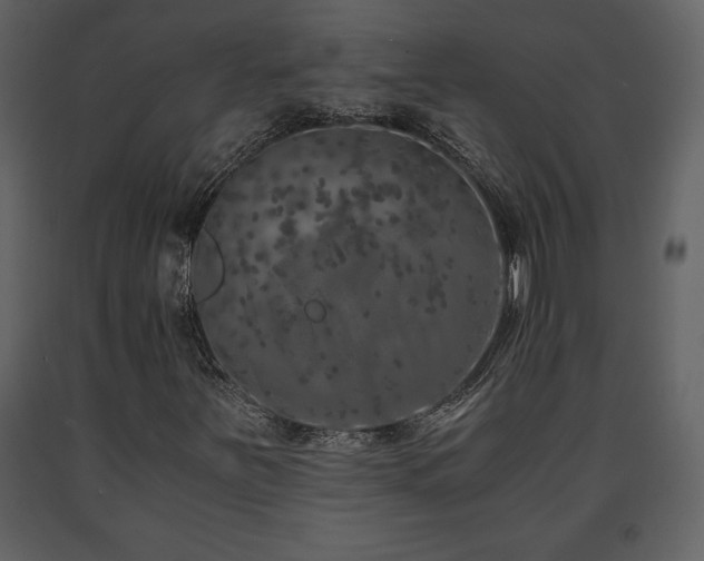 X0000091681251200708231409