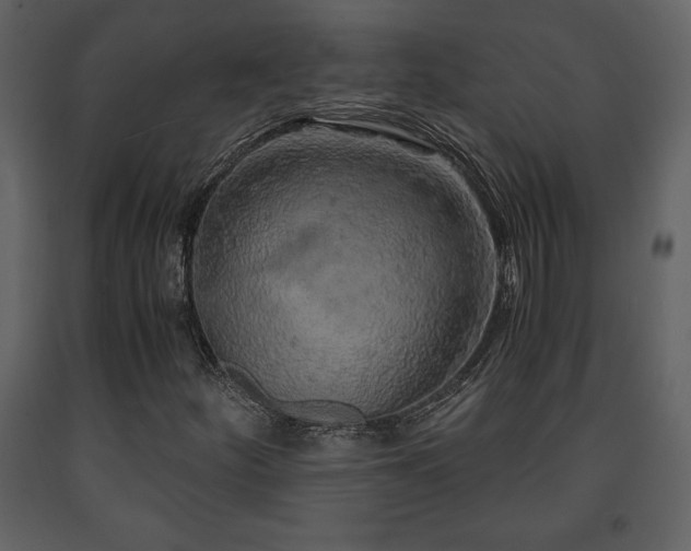 X0000091681252200708231409