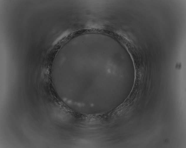 X0000091681254200708231409