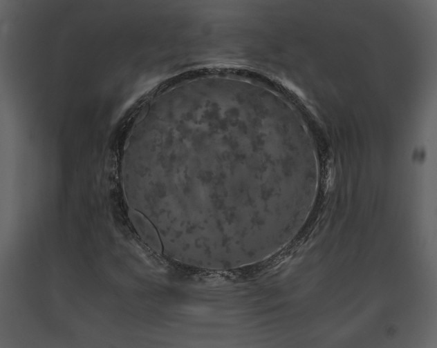 X0000091681255200708231409