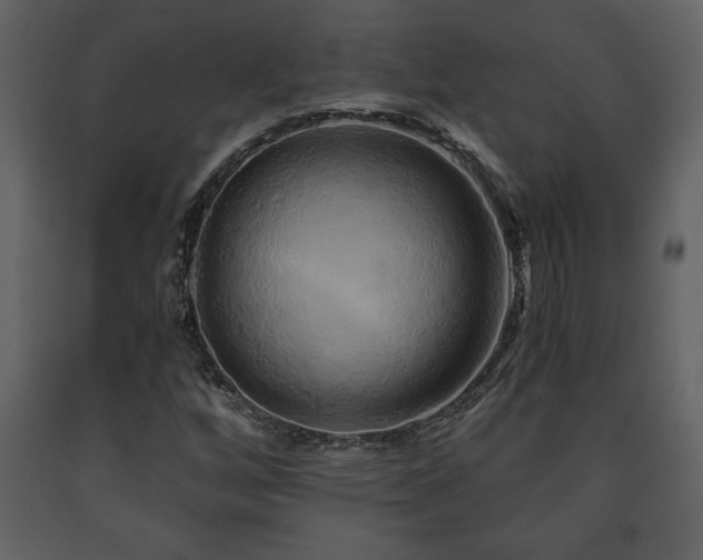 X0000091681256200708231409