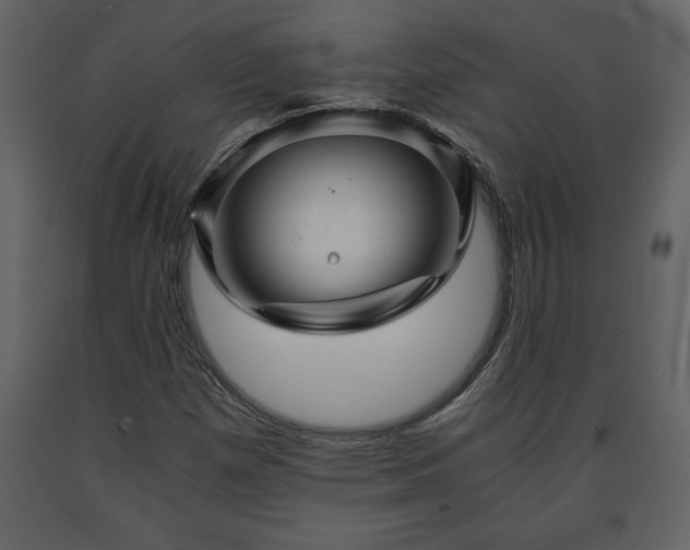X0000091681257200708231409