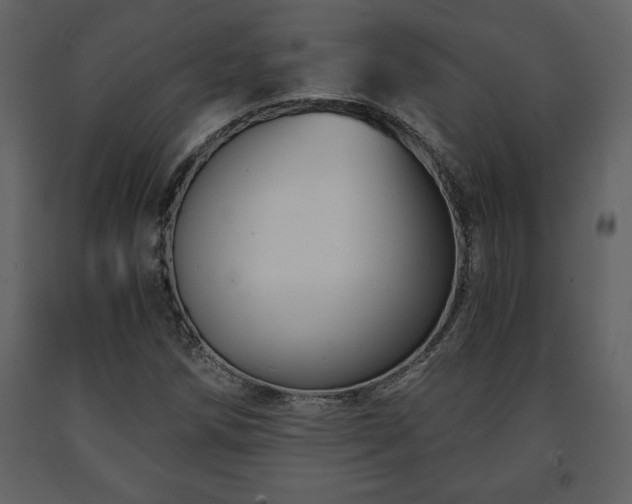 X0000091681258200708231409