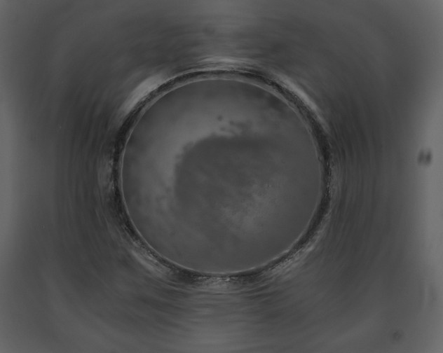 X0000091681259200708231409