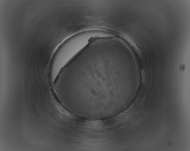 X0000091681260200708231409