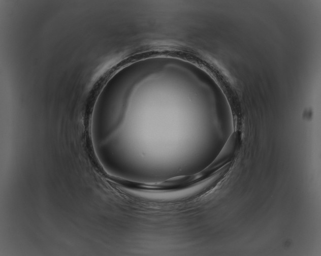 X0000091681261200708231408