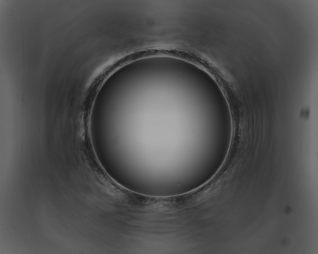 X0000091681262200708231408