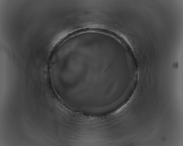 X0000091681263200708231408
