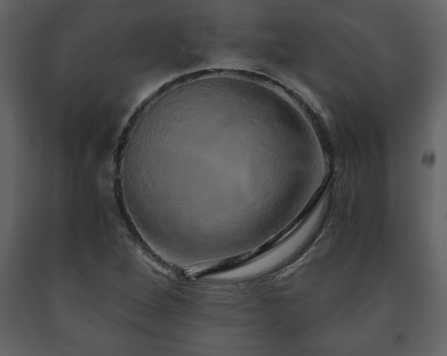 X0000091681264200708231408
