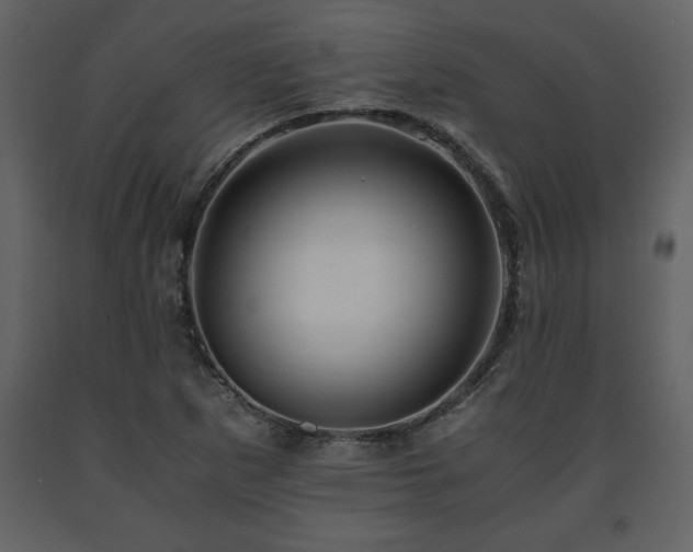 X0000091681265200708231408