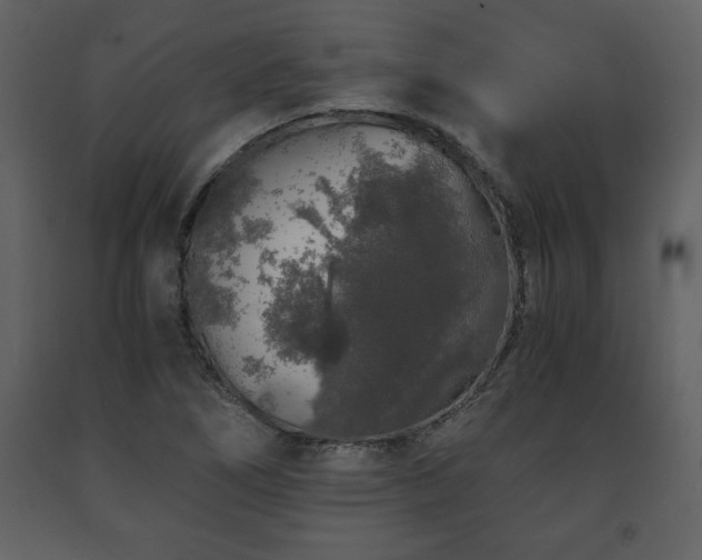 X0000091681266200708231408