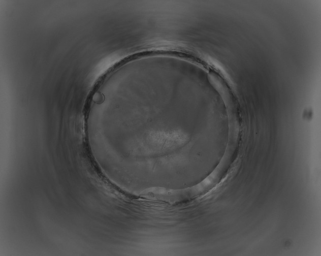 X0000091681267200708231408