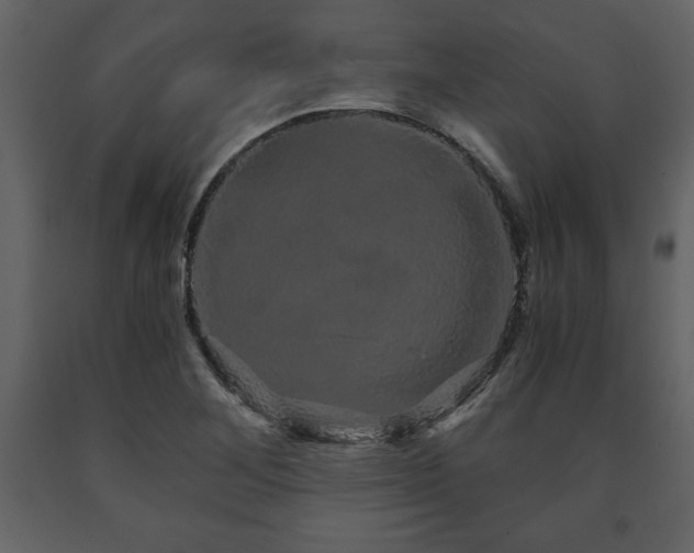 X0000091681268200708231408