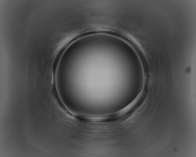 X0000091681269200708231408