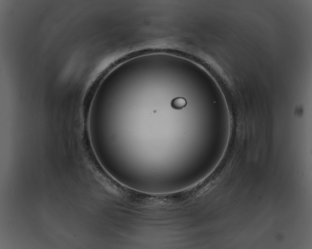 X0000091681270200708231408