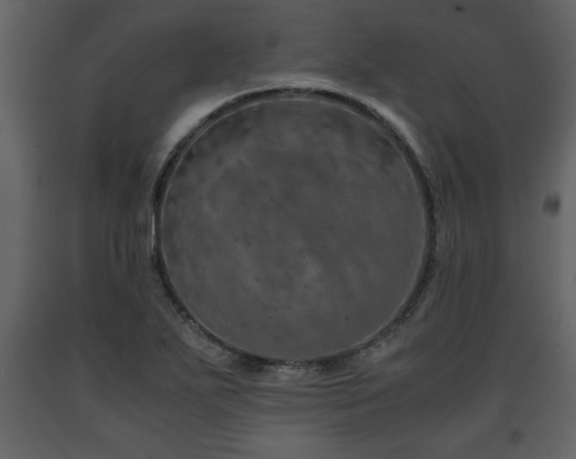X0000091681271200708231408