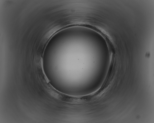 X0000091681273200708231408