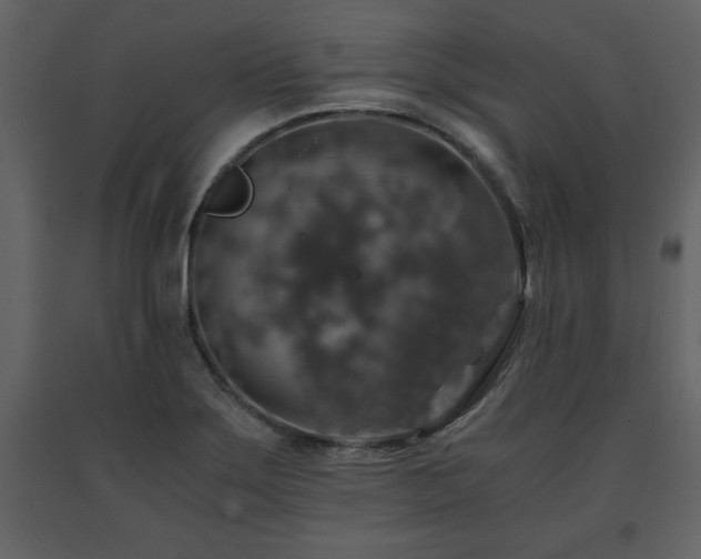 X0000091681275200708231408