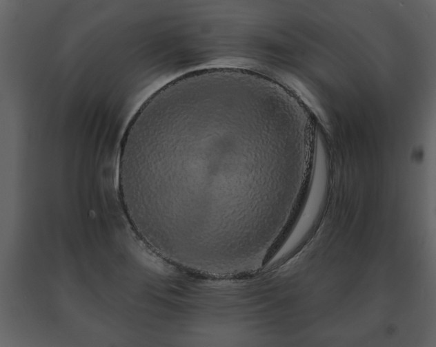 X0000091681276200708231408