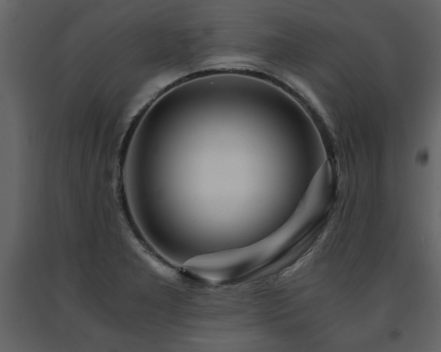X0000091681277200708231408