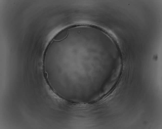 X0000091681279200708231408