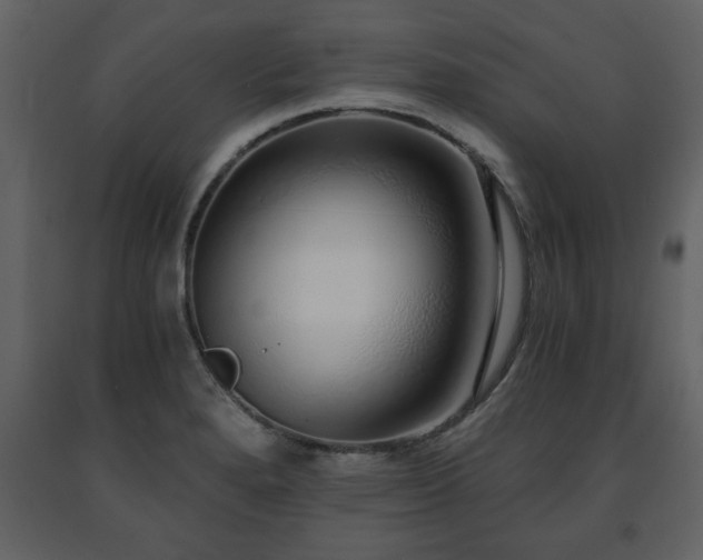 X0000091681280200708231408