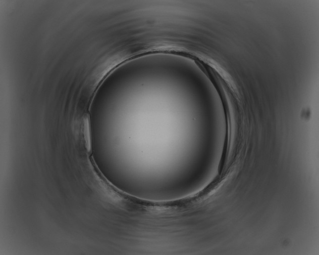 X0000091681281200708231408