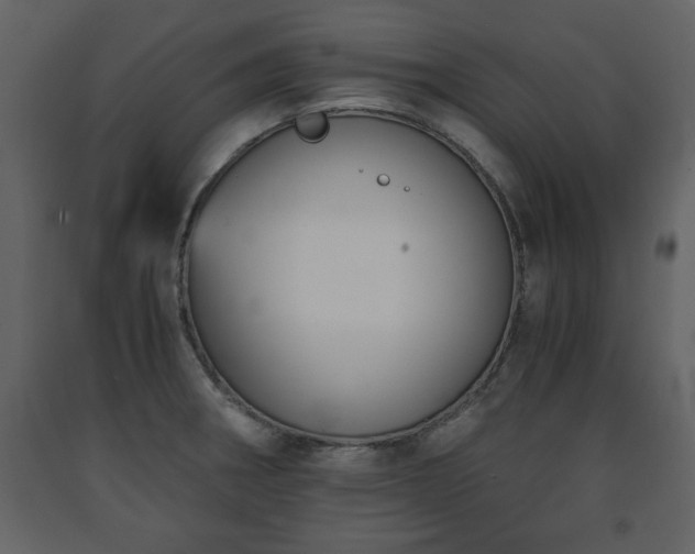 X0000091681282200708231408