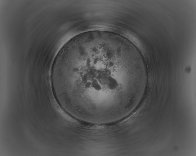 X0000091681283200708231408