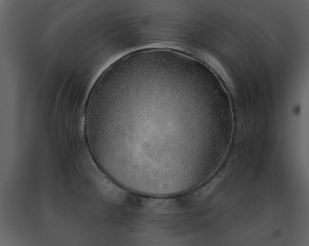 X0000091681284200708231408