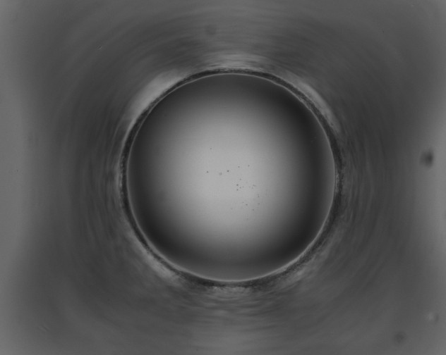 X0000091681285200708231408