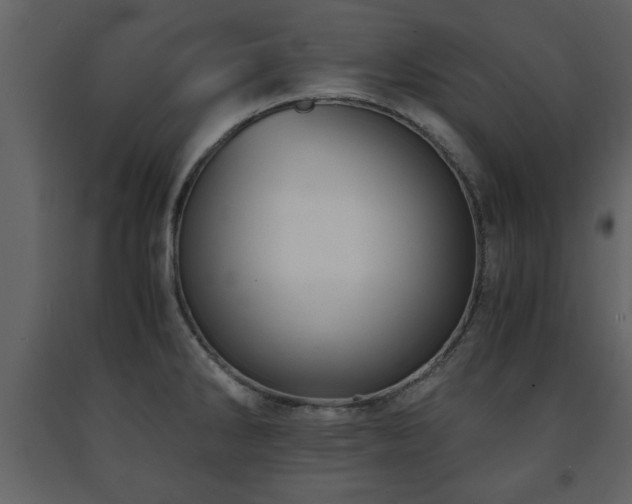 X0000091681286200708231408