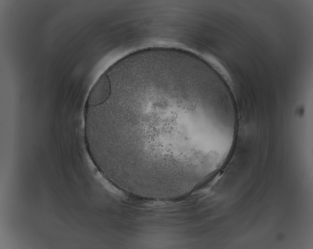 X0000091681287200708231408