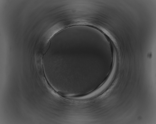 X0000091681289200708231408