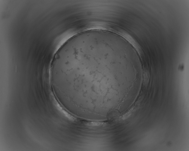 X0000091681290200708231408