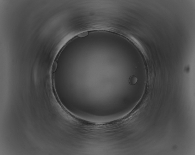 X0000091681291200708231408