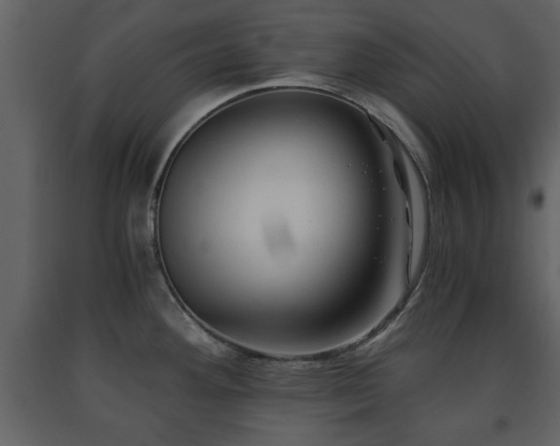 X0000091681292200708231408