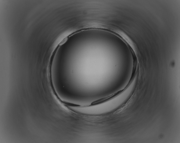 X0000091681293200708231408