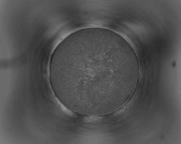 X0000091681294200708231408