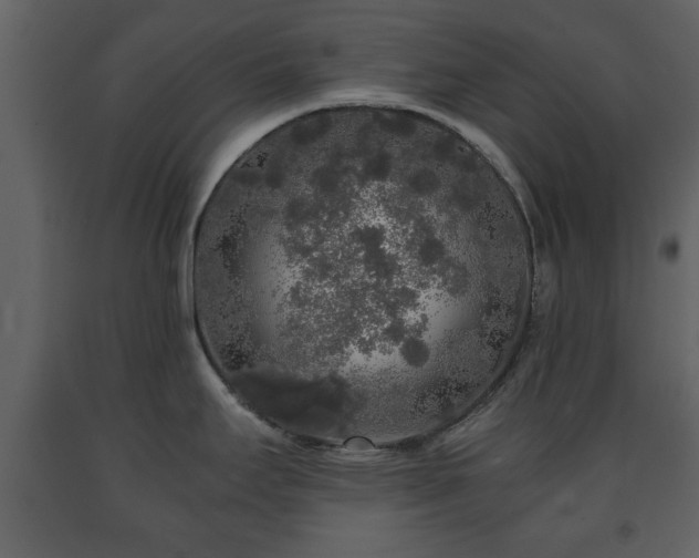 X0000091681295200708231408